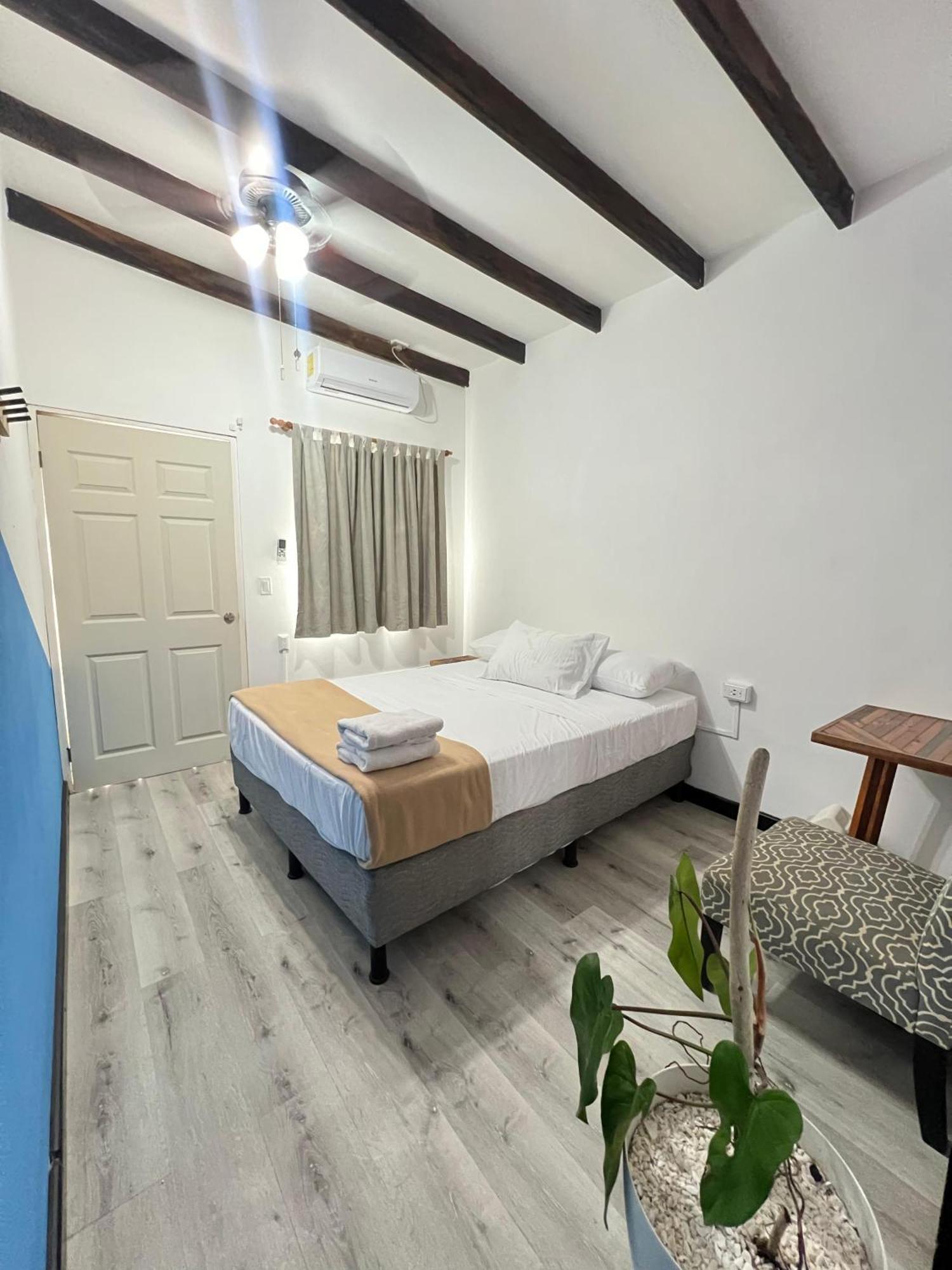 פדאסי Hotel Carey מראה חיצוני תמונה