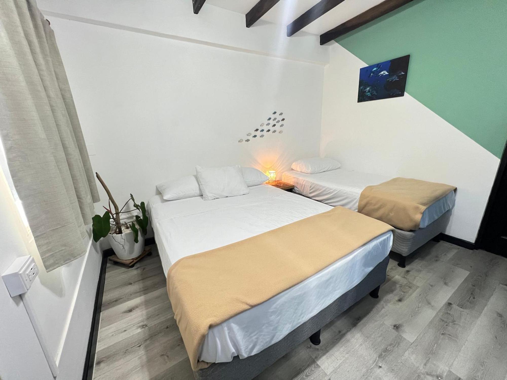 פדאסי Hotel Carey מראה חיצוני תמונה