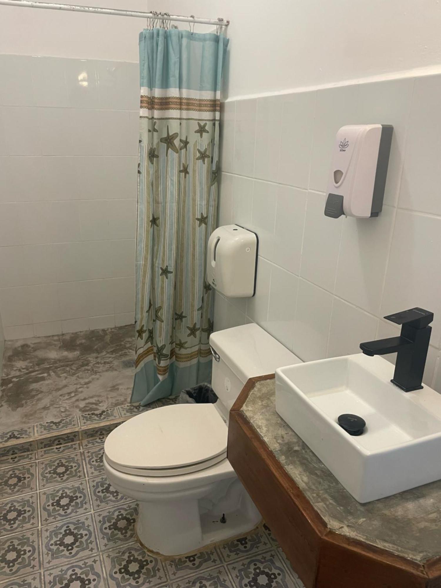 פדאסי Hotel Carey מראה חיצוני תמונה